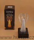 wkład led cortina anioł